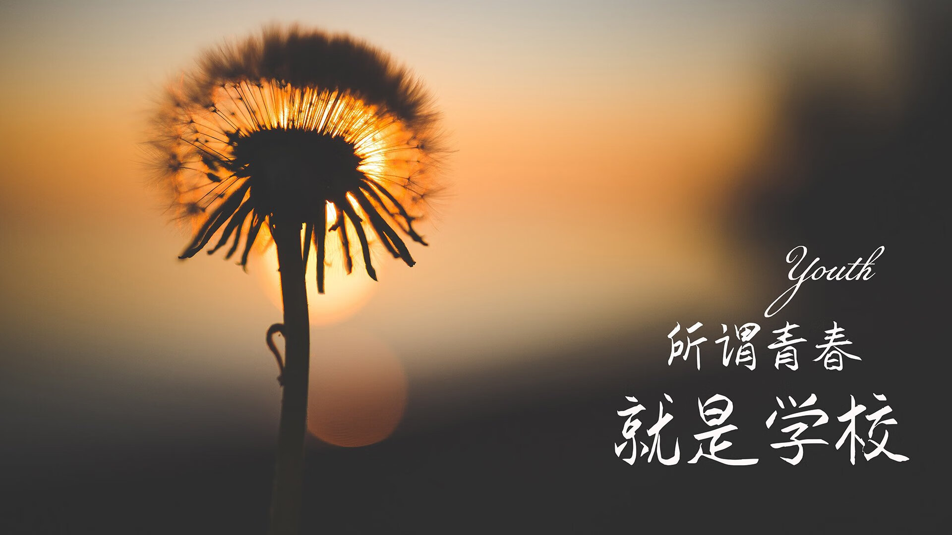 葡萄牙体育主场击败对手，葡萄牙赢比赛