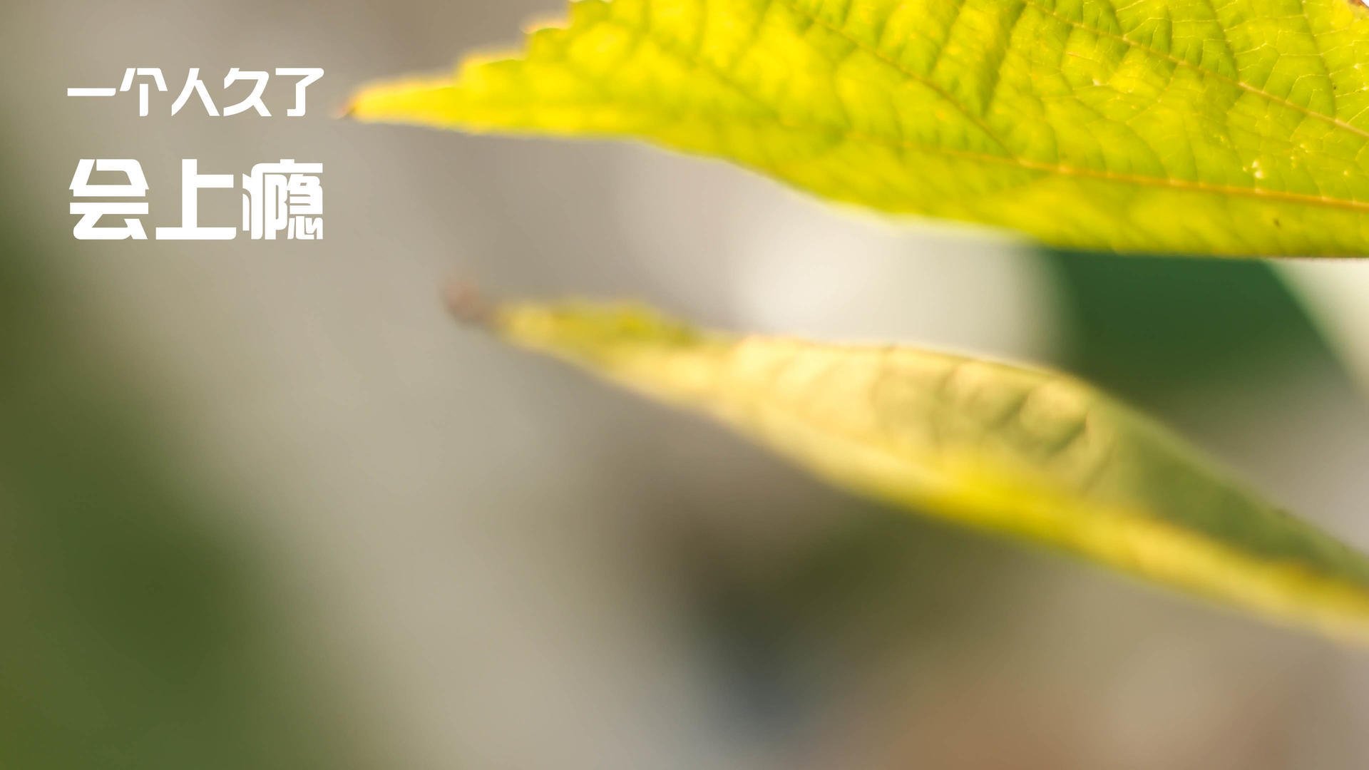 fb体育APP-三年对比：中美女子200蝶成绩走势图，中国女子两百米蝶泳