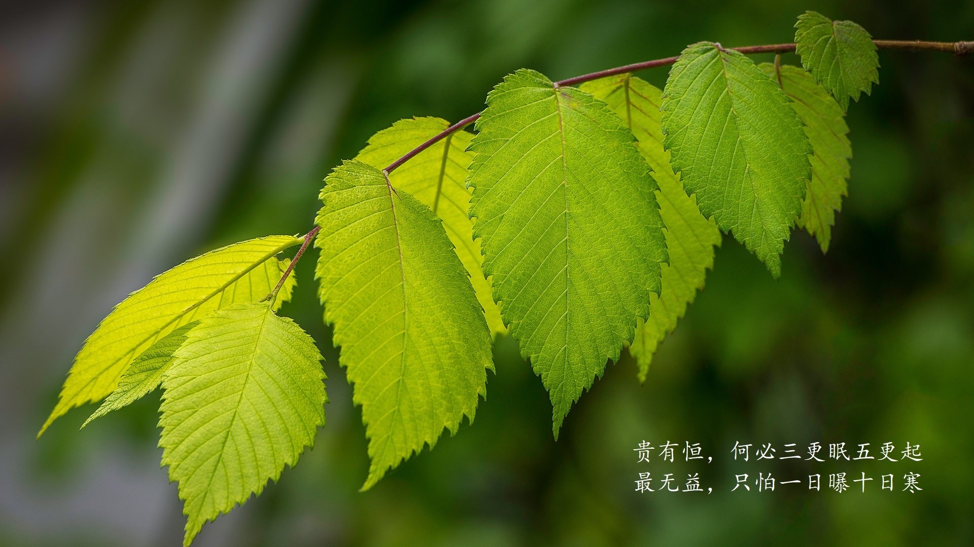 五大联赛冬歇期设置是否影响整体竞技状态，五大联赛冬季休赛多久