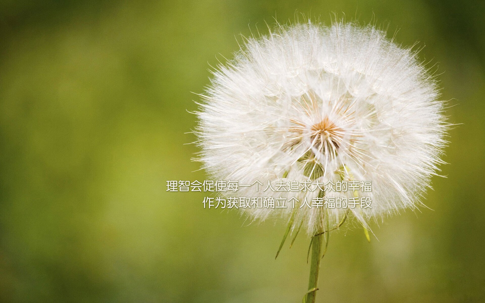 替补爆发如何激活战术板主动性与比赛节奏